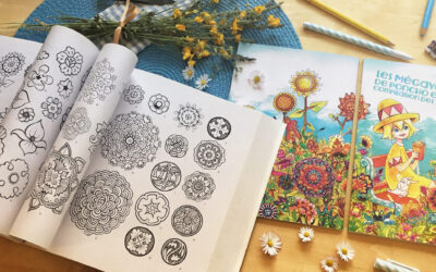 Défi Créatif N°2 : un merveilleux champ de fleurs