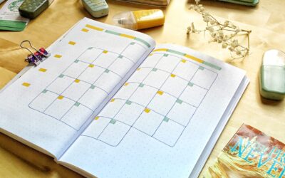 La collection bujoli !