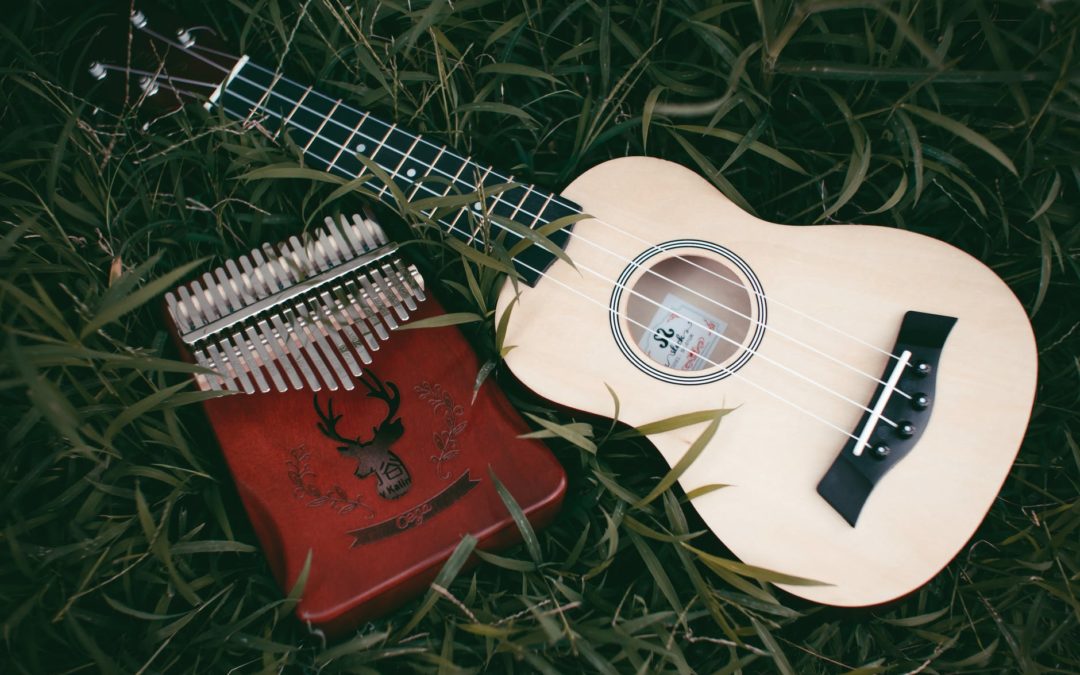 acoustic musical instrument placed on green grass