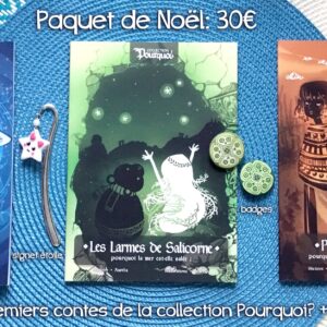 Paquet de Noël - Collection Pourquoi ?