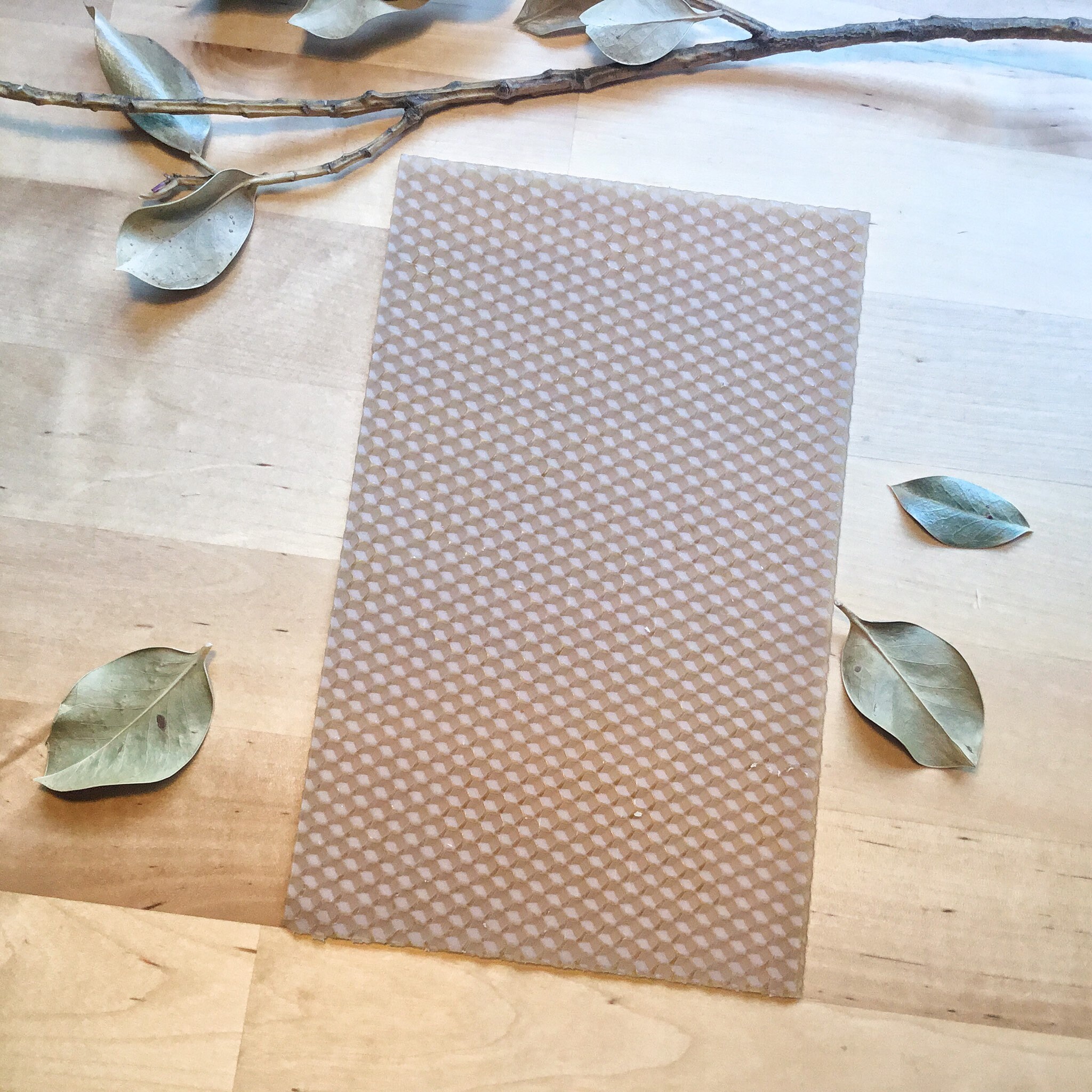 Recharge de cire d'abeille (23g) – Image 2