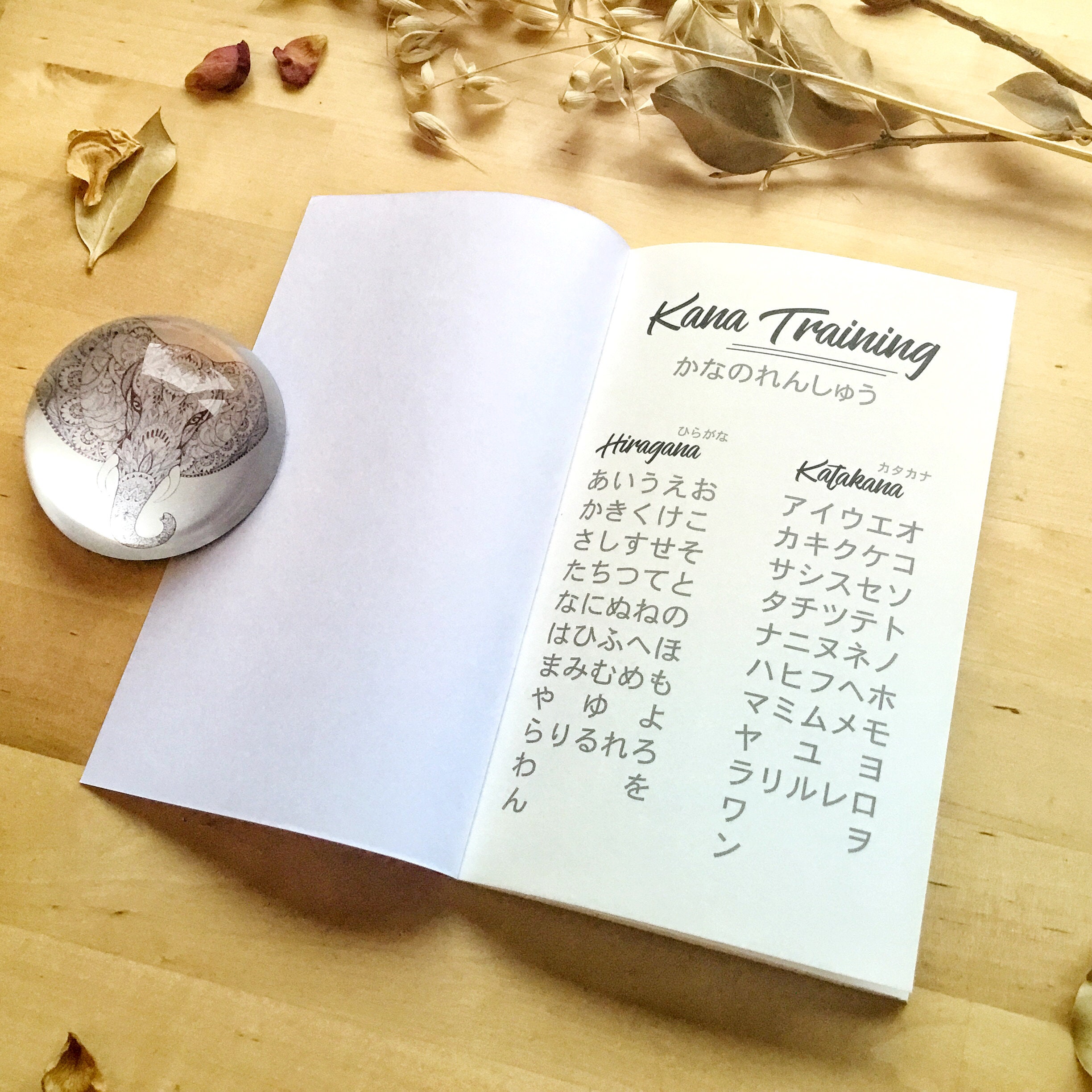 Pack Rouge et Or : Cahier de japonais A4 +2 carnets de poche +papeterie – Image 3