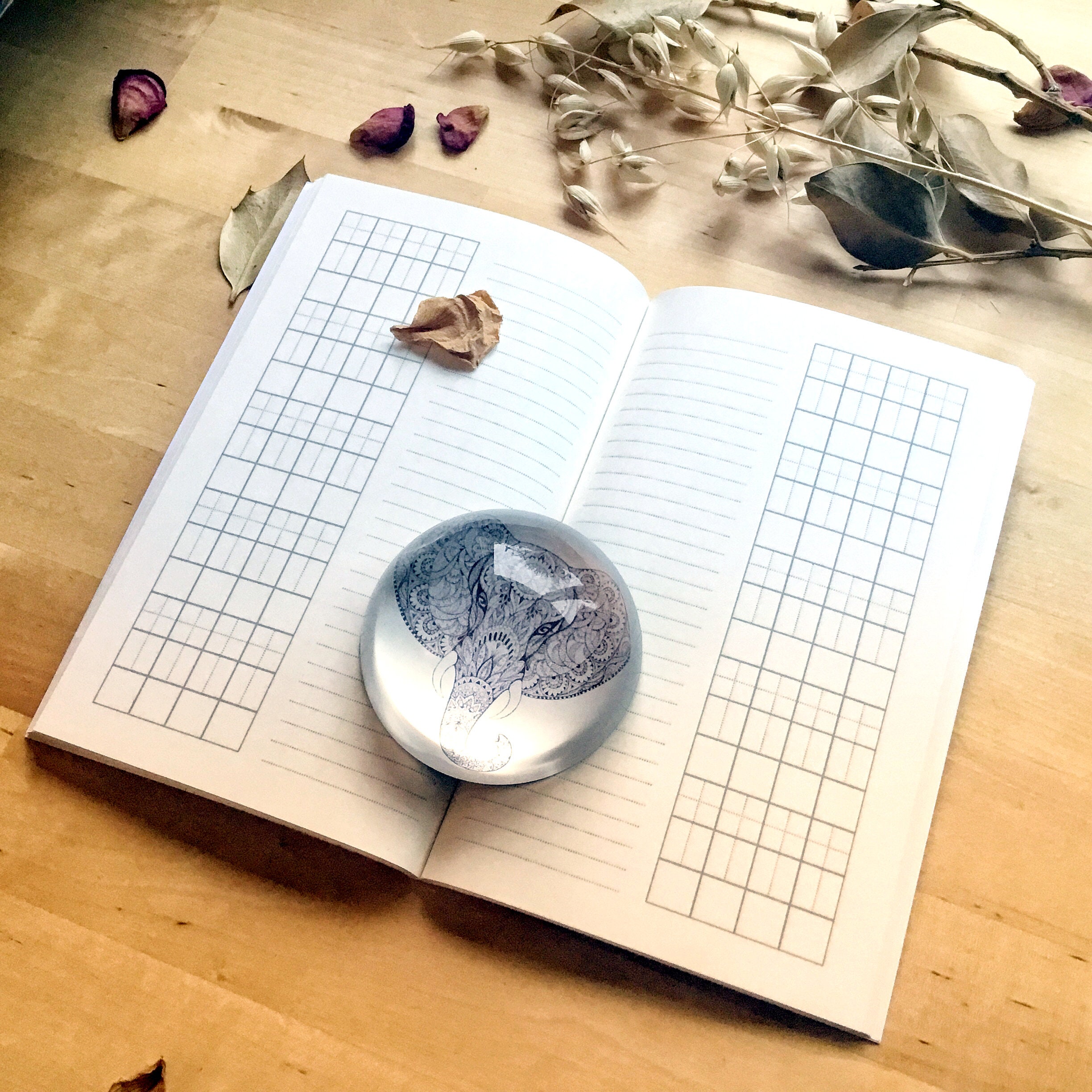 Pack Rouge et Or : Cahier de japonais A4 +2 carnets de poche +papeterie – Image 4