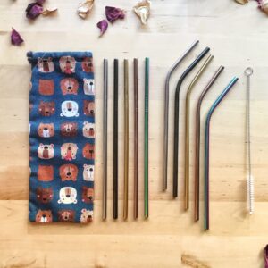 Set de 5 pailles en inox + goupillon et pochon de rangement