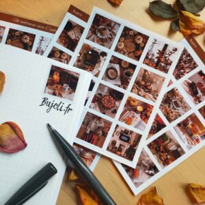 3x Planches Stickers - Un automne avec Cynthia