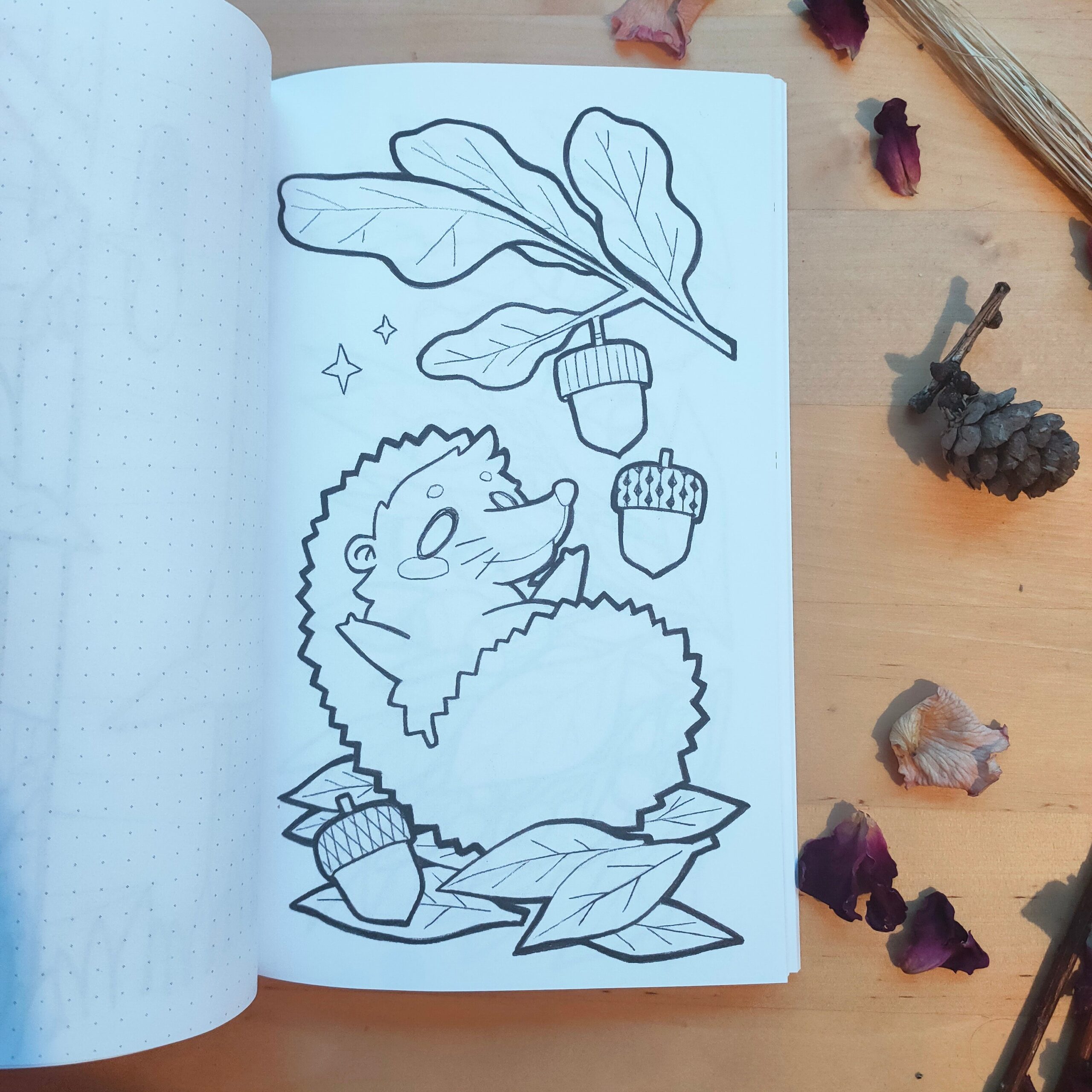 Petits Coloriages d'Automne – Image 5