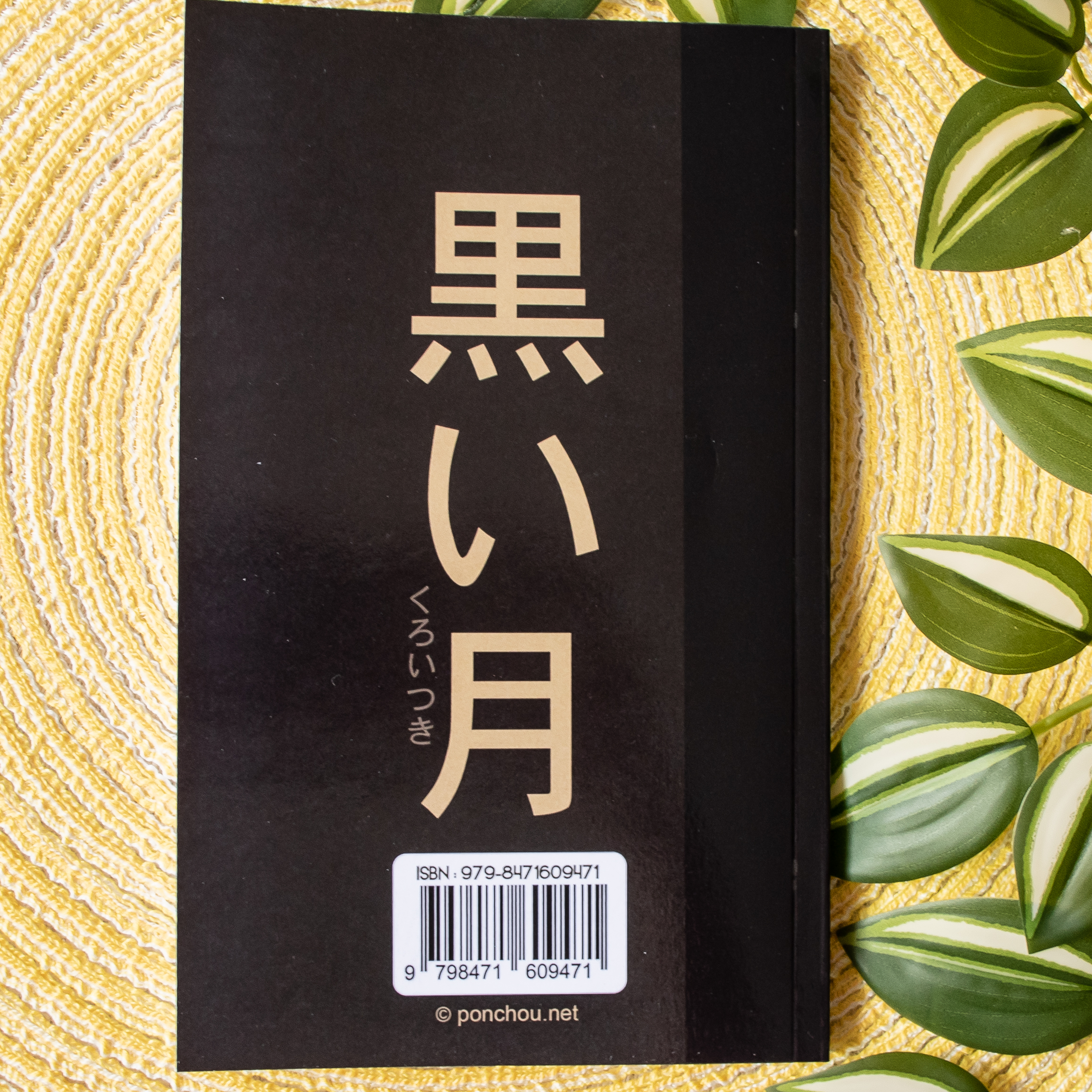 Kanji Memorizer - Lune Noire 黒い月 – Image 3
