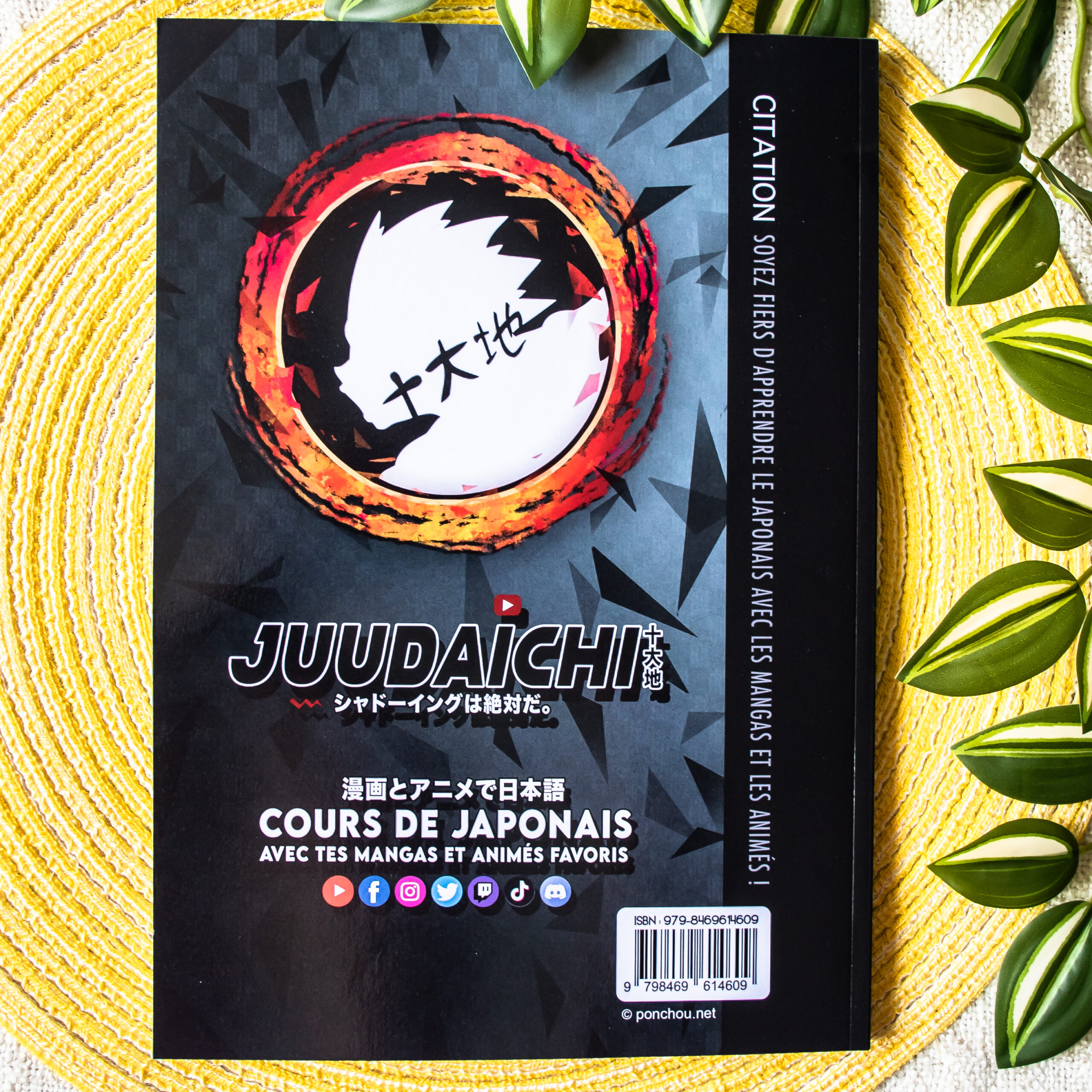 Un livre en japonais intitulé « JUUDAICHI » repose sur un tapis à motifs jaunes, avec des feuilles vertes à côté. La couverture représente un anneau flamboyant orné de caractères japonais et d'un texte en français sur l'apprentissage du japonais à travers les mangas et les anime.